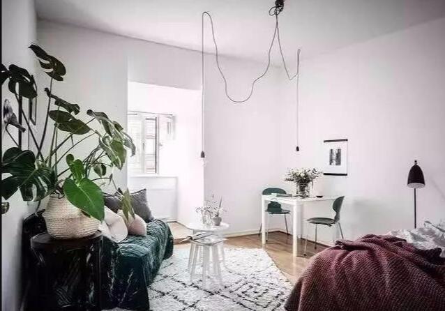 北欧风单身公寓设计 营造温馨自然的小家