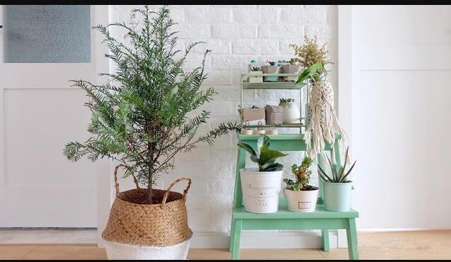 港式装修风格6个特点,你知道不TVB剧你别白看了!