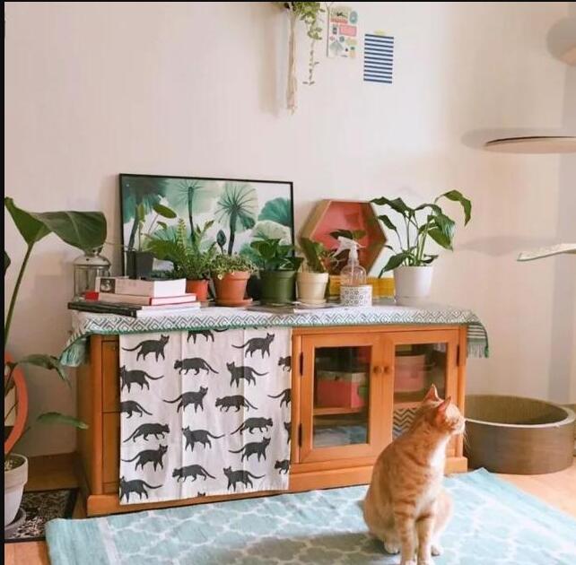 ɭϵ�Ҿ�װ�޸���δ��� ӵ����6��һ����ɭ