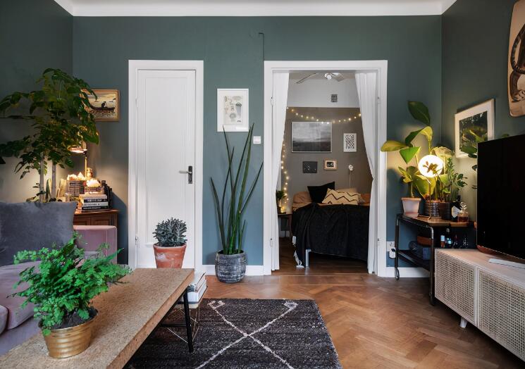 ��ŷ������60ƽС���� �����������˴���